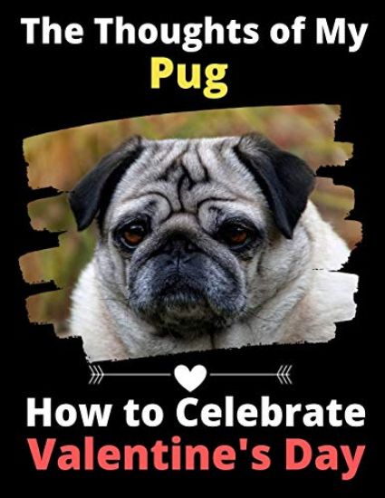 The Thoughts of My Pug: How to Celebrate Valentine's Day