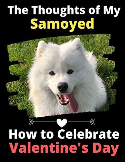 The Thoughts of My Samoyed