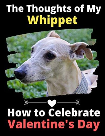 The Thoughts of My Whippet