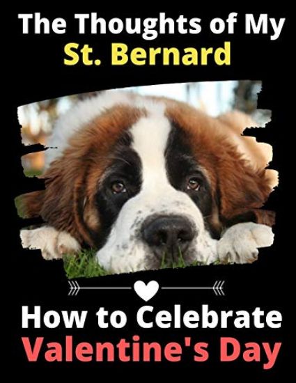 The Thoughts of My St. Bernard: How to Celebrate Valentine's Day