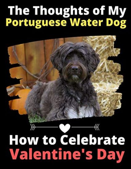 The Thoughts of My Portuguese Water Dog
