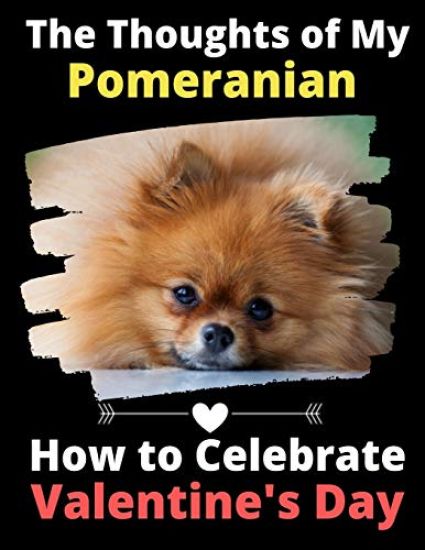 The Thoughts of My Pomeranian