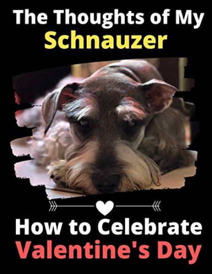 The Thoughts of My Schnauzer
