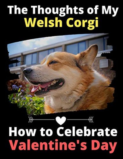The Thoughts of My Welsh Corgi: How to Celebrate Valentine's Day