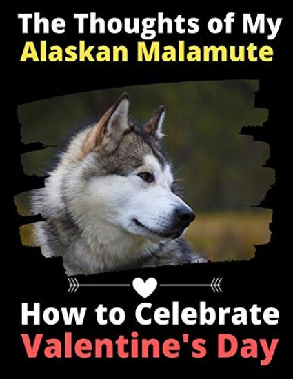 The Thoughts of My Alaskan Malamute: How to Celebrate Valentine's Day