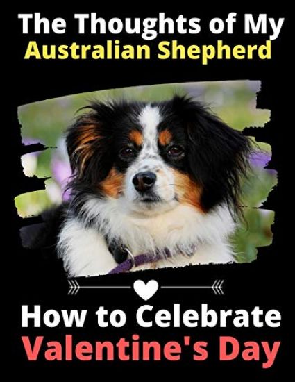 The Thoughts of My Australian Shepherd: How to Celebrate Valentine's Day