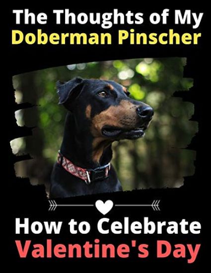 The Thoughts of My Doberman Pinscher: How to Celebrate Valentine's Day