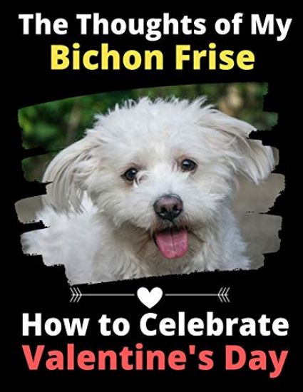 The Thoughts of My Bichon Frise: How to Celebrate Valentine's Day