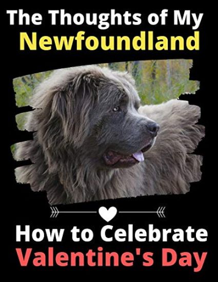 The Thoughts of My Newfoundland: How to Celebrate Valentine's Day