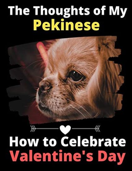 The Thoughts of My Pekinese