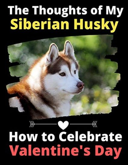 The Thoughts of My Siberian Husky
