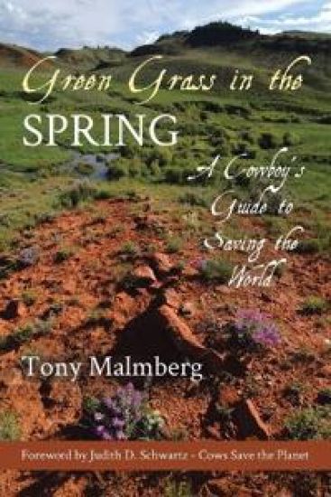 Green Grass in the Spring