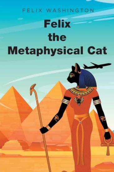 Felix the Metaphysical Cat