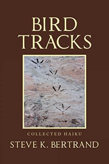 Bird Tracks