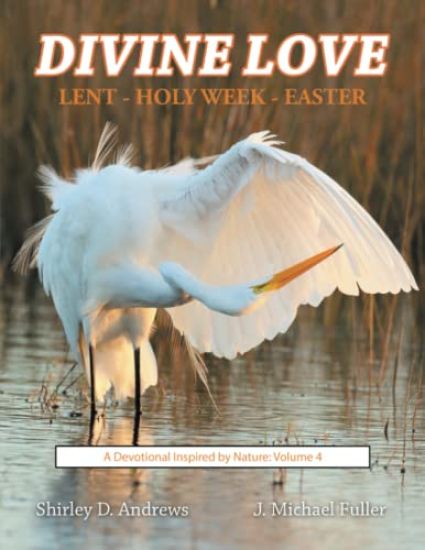 Divine Love Lent - Holy Week - Easter