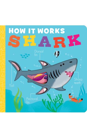 How It Works: Shark