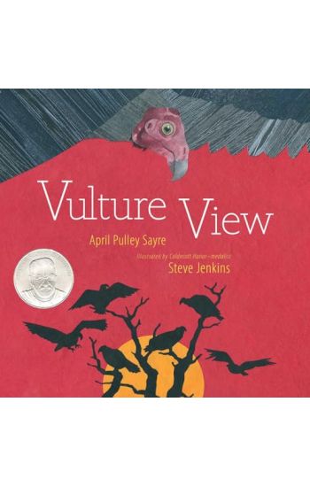 Vulture View