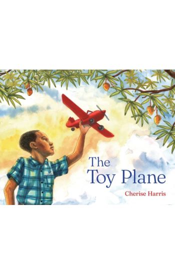 The Toy Plane