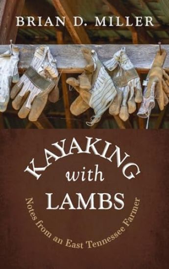 Kayaking with Lambs