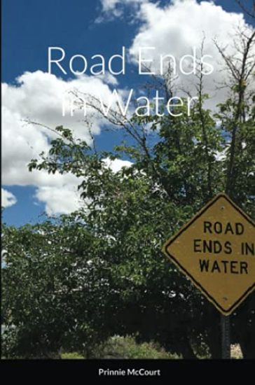 Road Ends in Water