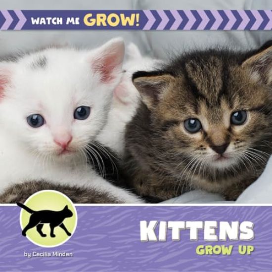 Kittens Grow Up
