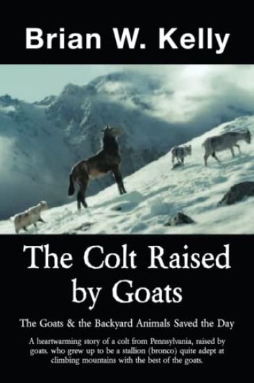 The Colt Raised by Goats