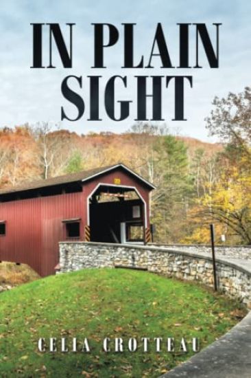In Plain Sight