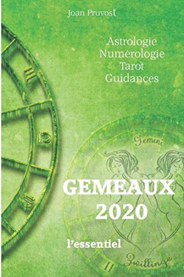 GEMEAUX 2020 - L'essentiel