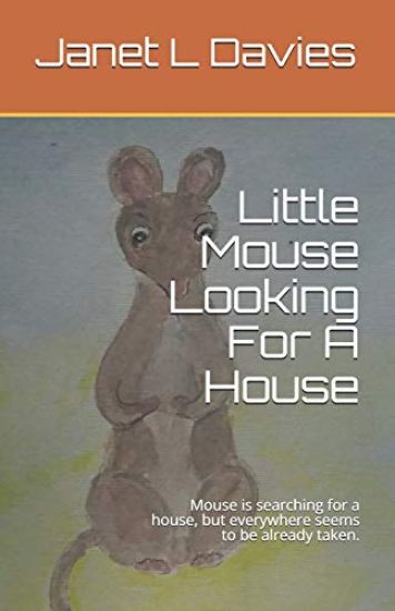 Little Mouse Looking For A House: Mouse is searching for a house, but everywhere seems to be already taken.