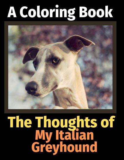 The Thoughts of My Italian Greyhound