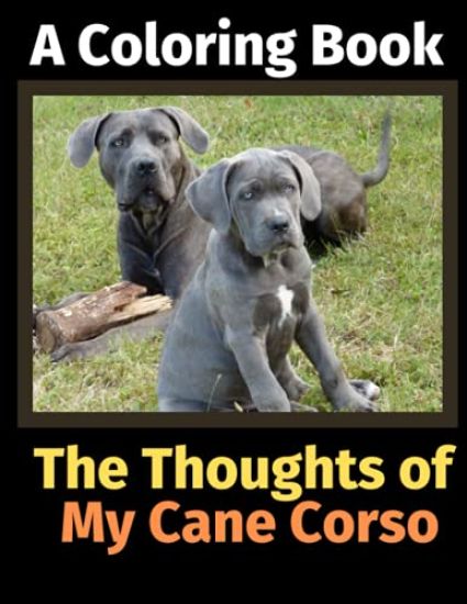 The Thoughts of My Cane Corso