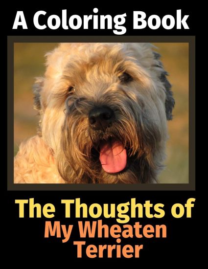 The Thoughts of My Wheaten Terrier
