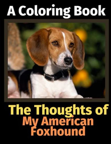 The Thoughts of My American Foxhound