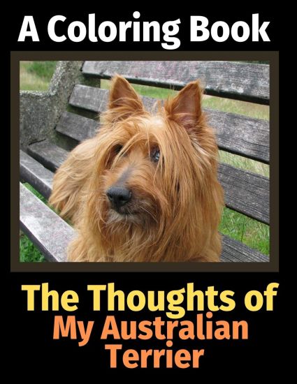The Thoughts of My Australian Terrier
