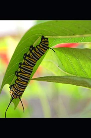 Around the day in my own world.