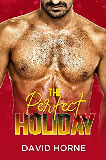 The Perfect Holiday