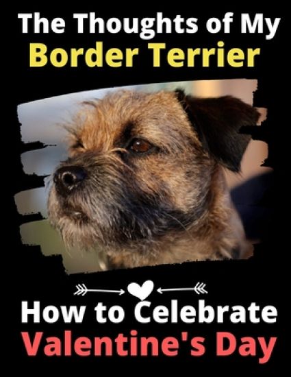 The Thoughts of My Border Terrier: How to Celebrate Valentine's Day