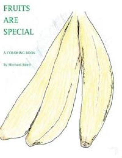 Fruits are Special