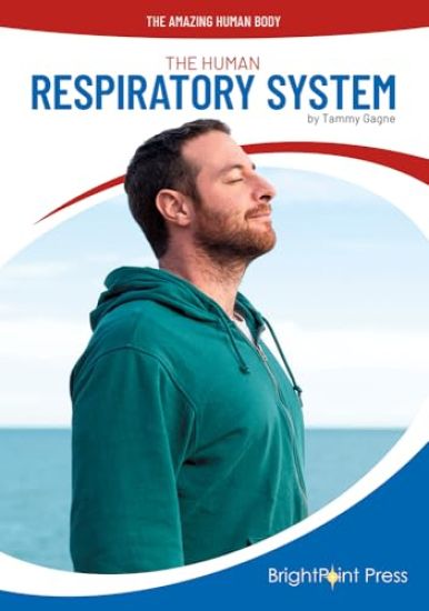 The Human Respiratory System
