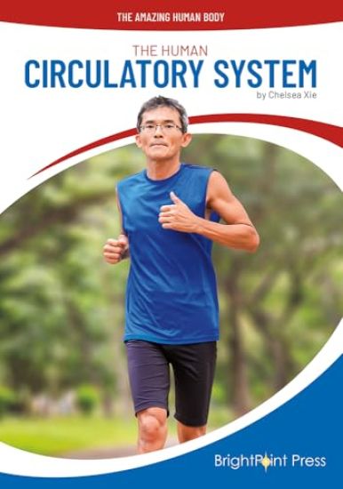 The Human Circulatory System