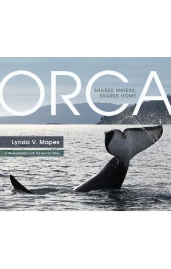 Orca: Shared Waters, Shared Home