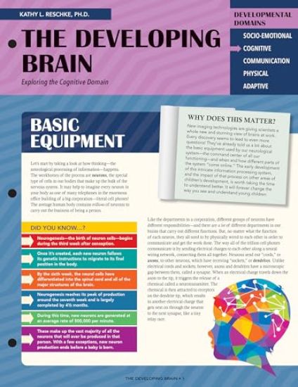 The Developing Brain