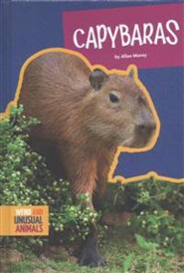 Capybaras