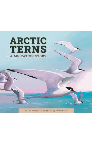 Arctic Terns: A Migration Story