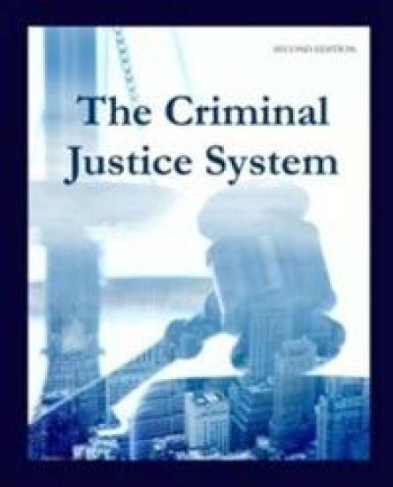 The Criminal Justice System
