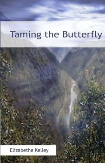 Taming the Butterfly