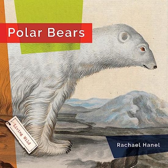 Polar Bears