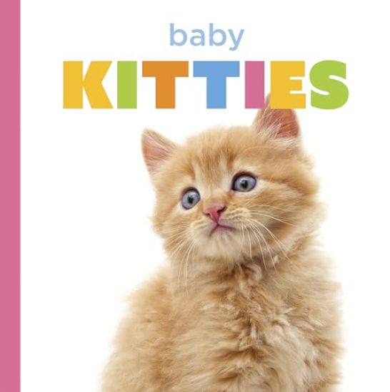 Baby Kitties