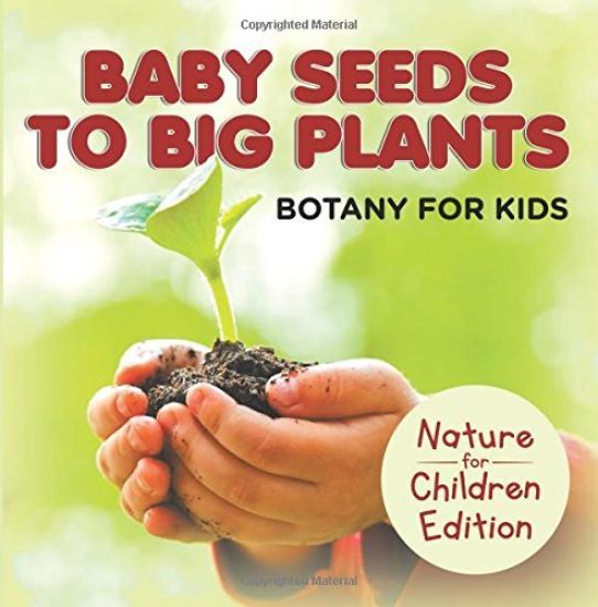 Baby Seeds To Big Plants