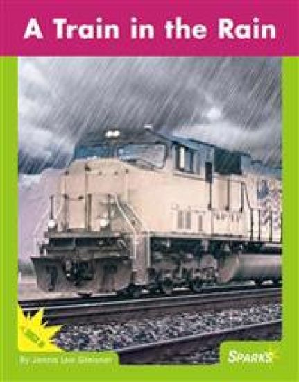 A Train in the Rain